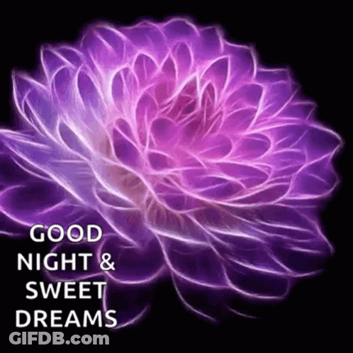 Purple Flower Good Night & Sweet Dreams GIF