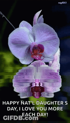 Purple Flower Happy Nat'l Daughter's Day I Love You More Each Day GIF
