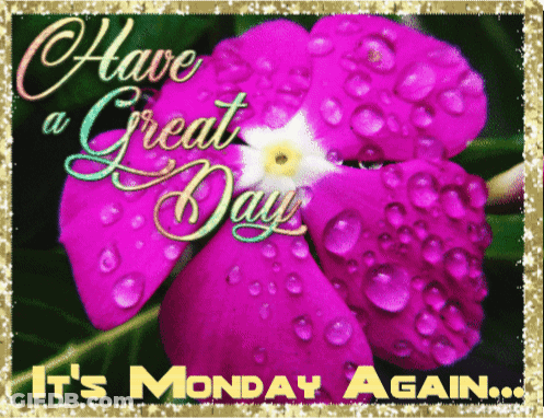 Purple Flower Have A Great Day It's Monday Again GIF