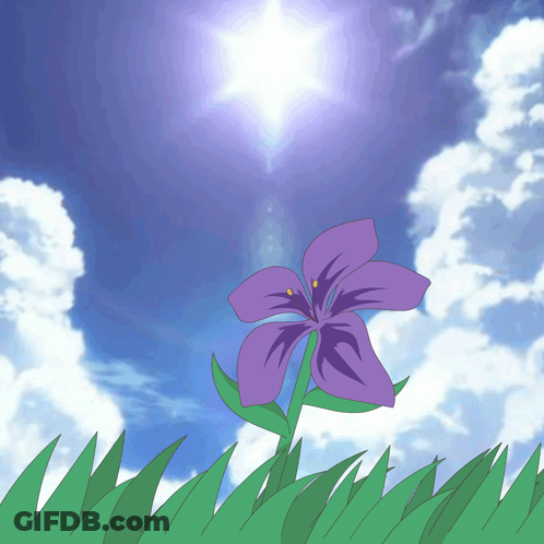 Purple Flower In Sunlit Grass GIF