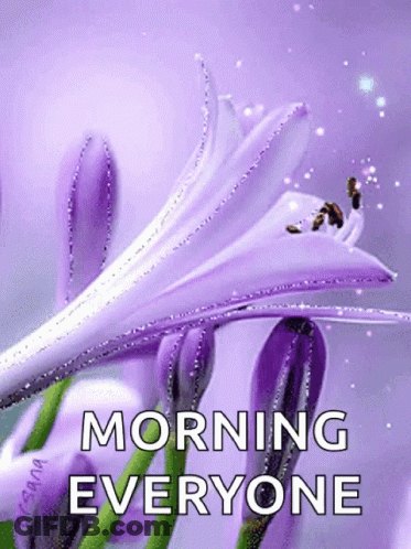 Purple Flower Morning Everyone GIF