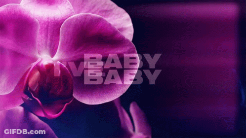 Purple Flower Nv Baby Baby GIF