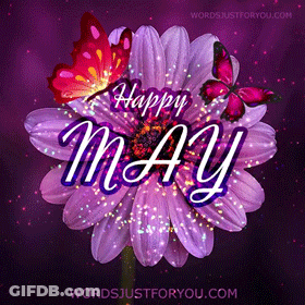 Purple Flower With Butterflies Happy May GIF