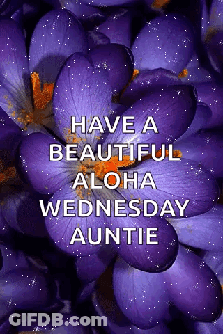 Purple Flower With Have A Beautiful Aloha Wednesday Auntie GIF
