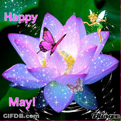 Purple Flower With Pink Butterfly Happy May GIF