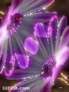 Purple Flower With Sparkles GIF