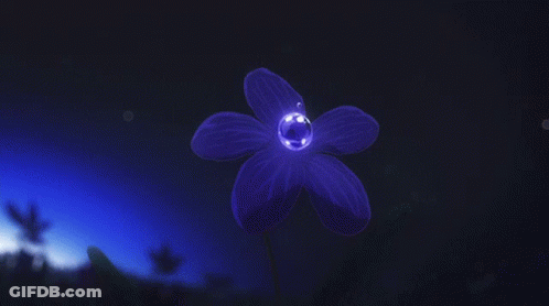 Purple Flower With Water Drops GIF