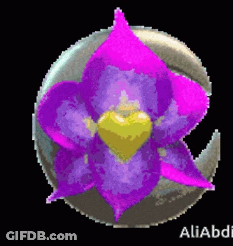 Purple Flower With Yellow Center GIF