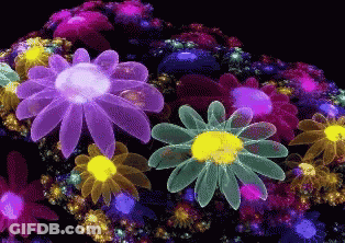 Purple Flower With Yellow Center GIF