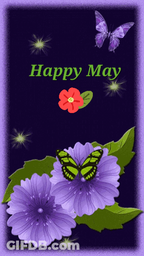 Purple Flowers And Butterflies Happy May GIF