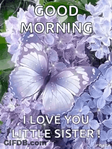 Purple Flowers And Butterfly Good Morning GIF