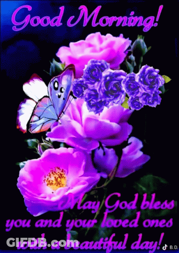 Purple Flowers And Butterfly May God Bless You GIF