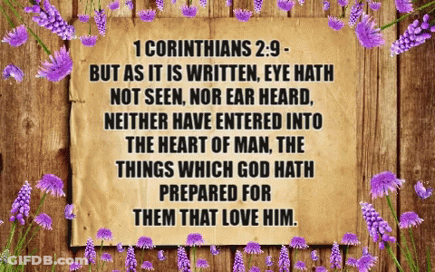 Purple Flowers Around Wooden Sign 1 Corinthians 2 9 GIF