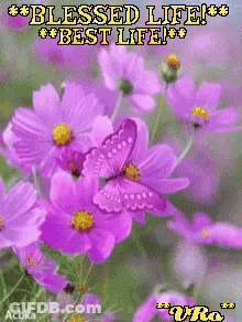 Purple Flowers Blessed Life GIF