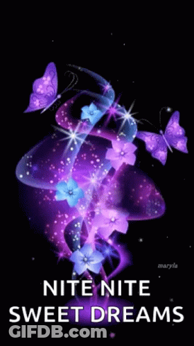 Purple Flowers Butterflies Nite Nite Sweet Dreams GIF