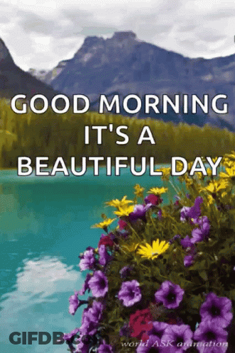 Purple Flowers Good Morning It's A Beautiful Day GIF