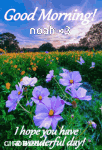 Purple Flowers Good Morning Noah < 3 GIF