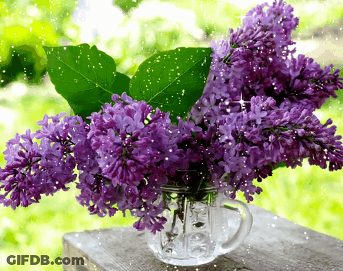 Purple Flowers In A Clear Vase On A Table GIF
