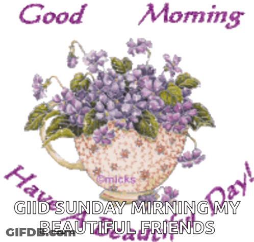 Purple Flowers In Teacup Good Morning Grid Sunday Morning My Beautiful Friends GIF