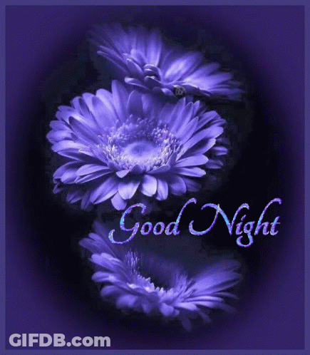 Purple Flowers On A Purple Background With The Words " Good Night " GIF