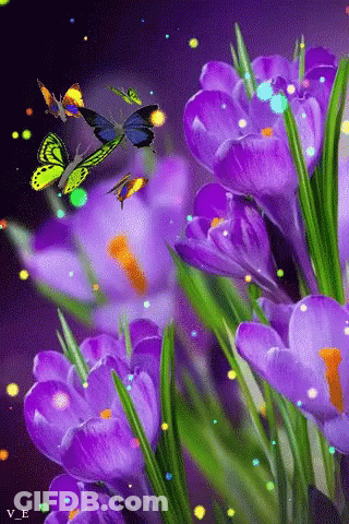 Purple Flowers Surrounded By Butterflies GIF