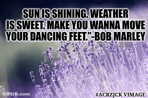 Purple Flowers With A Quote From Bob Marley On It GIF