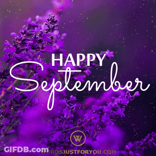 Purple Flowers With The Words Happy September GIF