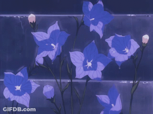 Purple Flowers With White Centers GIF