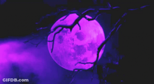 Purple Full Moon Behind Tree Branch GIF