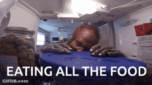 Purple Furry Number 6 GIF