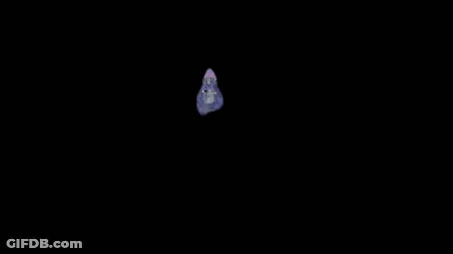 Purple Gorilla Tag Heard Something GIF