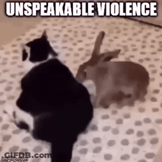Purple Heart Saying V Day End Violence Against Women GIF