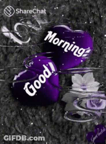 Purple Hearts Saying Good Morning GIF