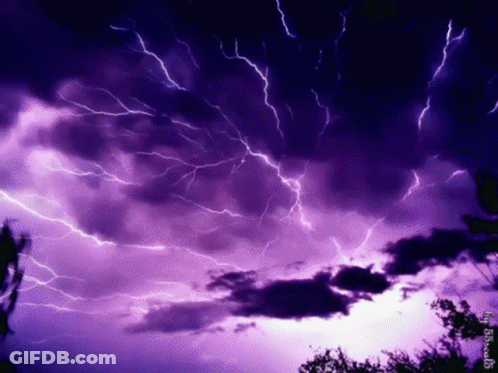 Purple Lightning Strikes In A Dark Cloudy Sky With Trees GIF