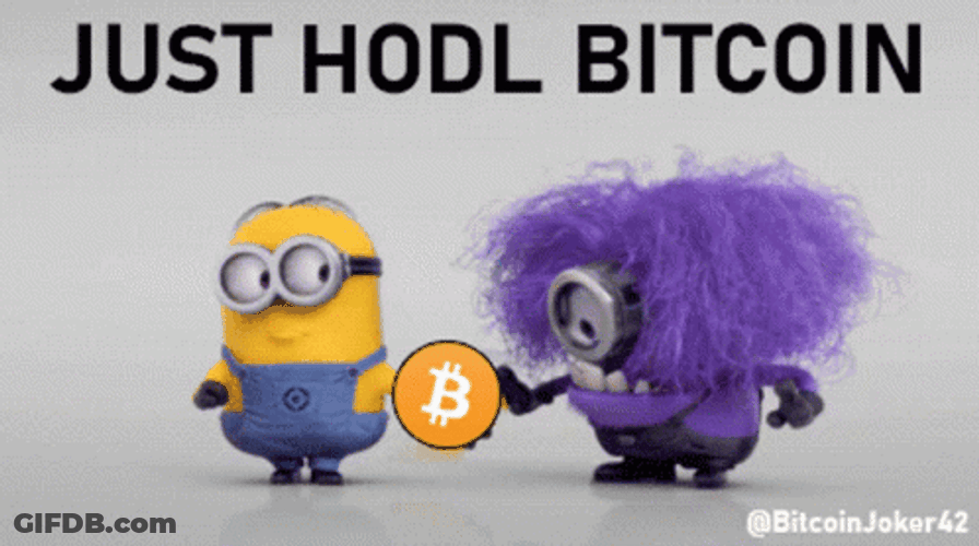 Purple Minion HODL Bitcoin Meme GIF