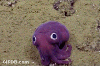 Purple Octopus With Big Eyes Crawling On Sand GIF