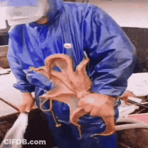 Purple Octopus With Big Eyes Crawling On Sand GIF