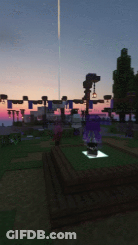 Purple Outfit Person In Minecraft With Sunset GIF