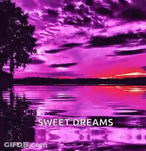 Purple Pink Sunset Over Lake Sweet Dreams GIF