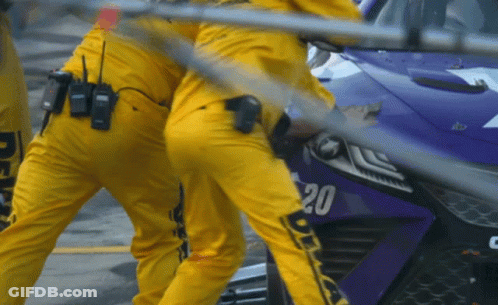 Purple Race Car Number 20 GIF