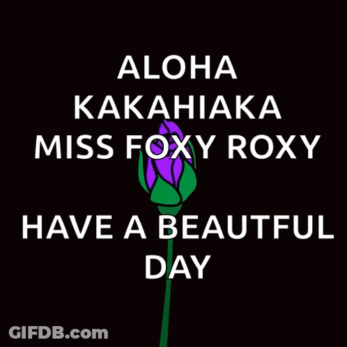 Purple Rose Aloha Kakahiaka Miss Roxy GIF