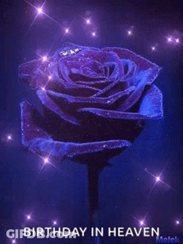Purple Rose Birthday In Heaven GIF