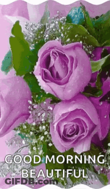 Purple Rose Bouquet Good Morning Beautiful GIF