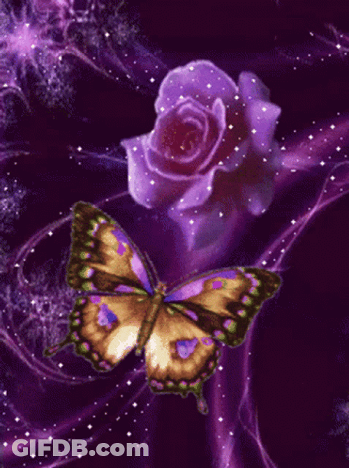 Purple Rose Butterfly Neon Colors GIF