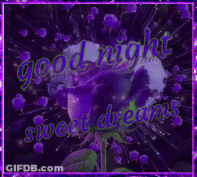 Purple Rose Good Night Sweet Dreams GIF