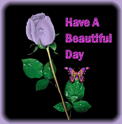 Purple Rose Have Wonderful Day GIF