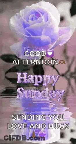 Purple Rose In Vase Sending Love GIF