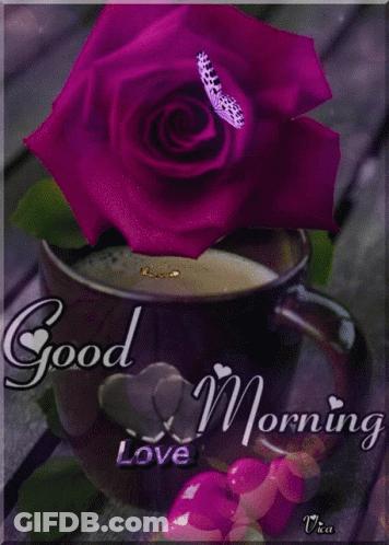 Purple Rose Next To Coffee Saying Good Morning Love GIF