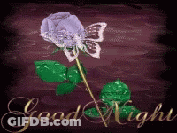 Purple Rose With Butterfly Good Night GIF