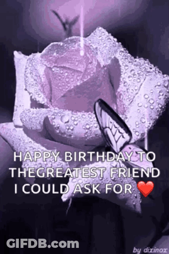 Purple Rose With Water Drops And Butterfly Happy Birthday GIF